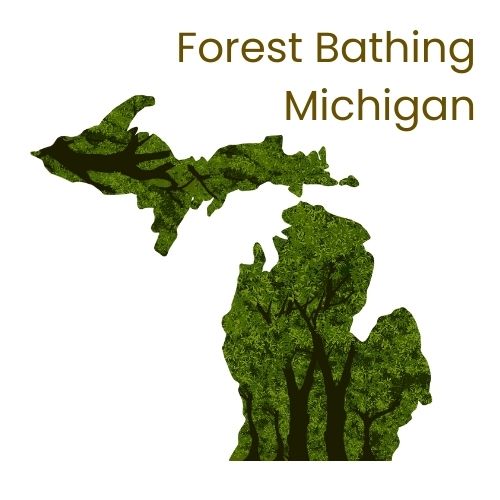 Forest Bathing Michigan | Nature Therapy of Michiana Logo